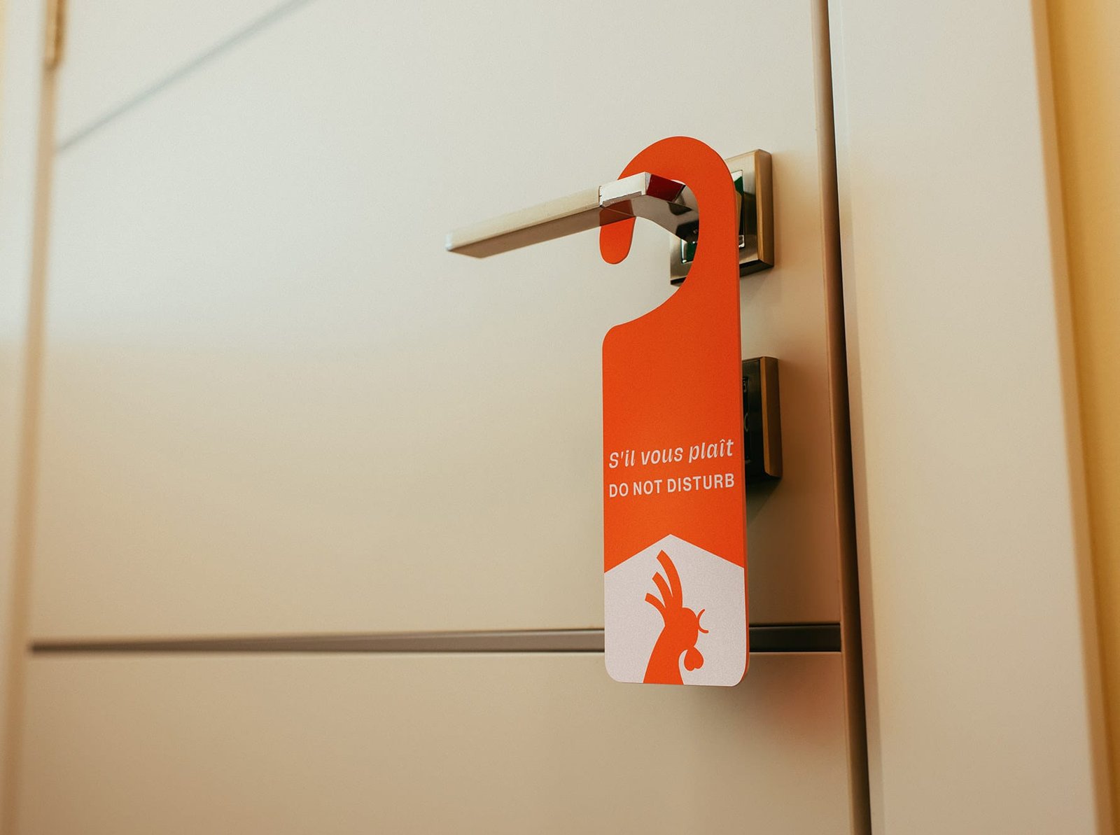 kreative geschaeftsausstattung koeln